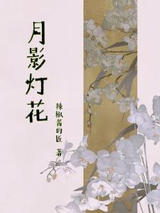 月影灯饰好不好